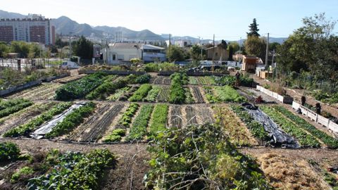Le Talus, ferme urbaine participative à Marseille, cultive fruits et légumes et organise en parallèle de nombreux événements sur son terrain. ©Léna Hespel